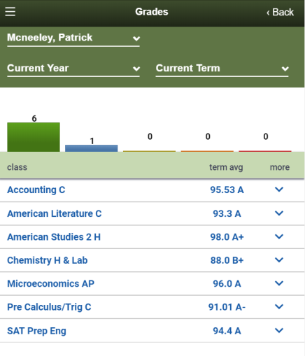 Grades screen showing classes with term averages