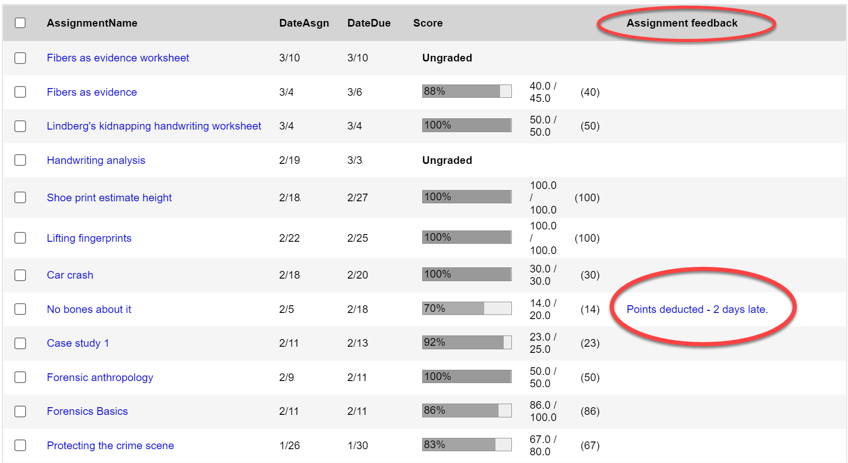 Classes page in Student portal with Assignment feedback