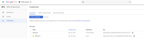 Google Credentials screen