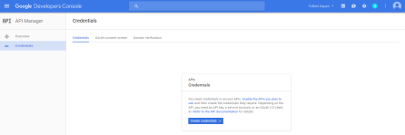 Google Credentials screen